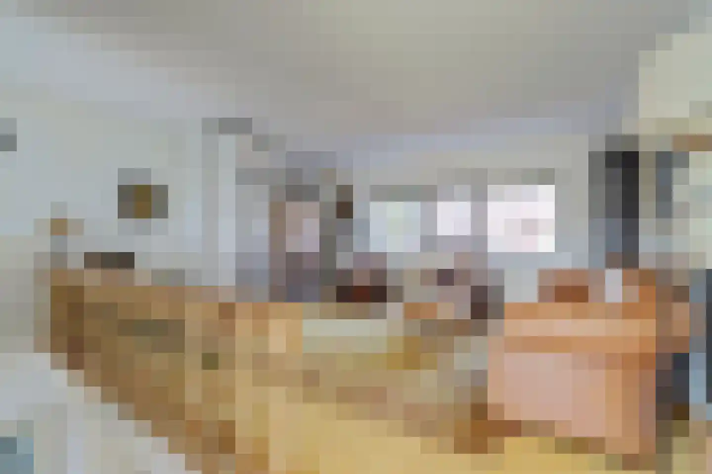 Panamakade 14 Amsterdam thumbnail 25