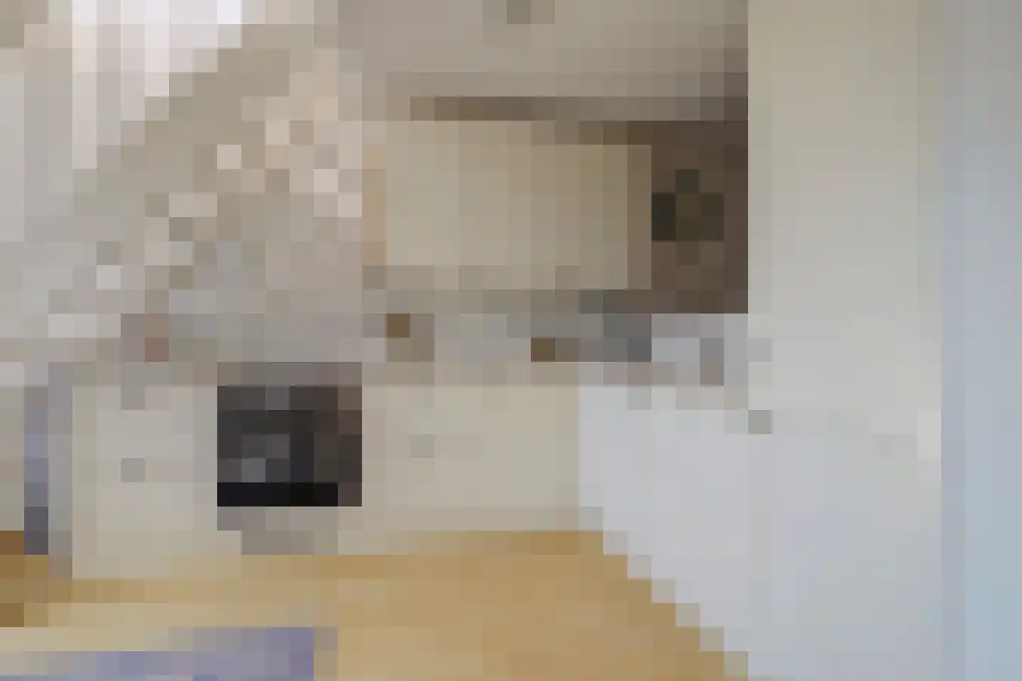 Panamakade 14 Amsterdam thumbnail 30