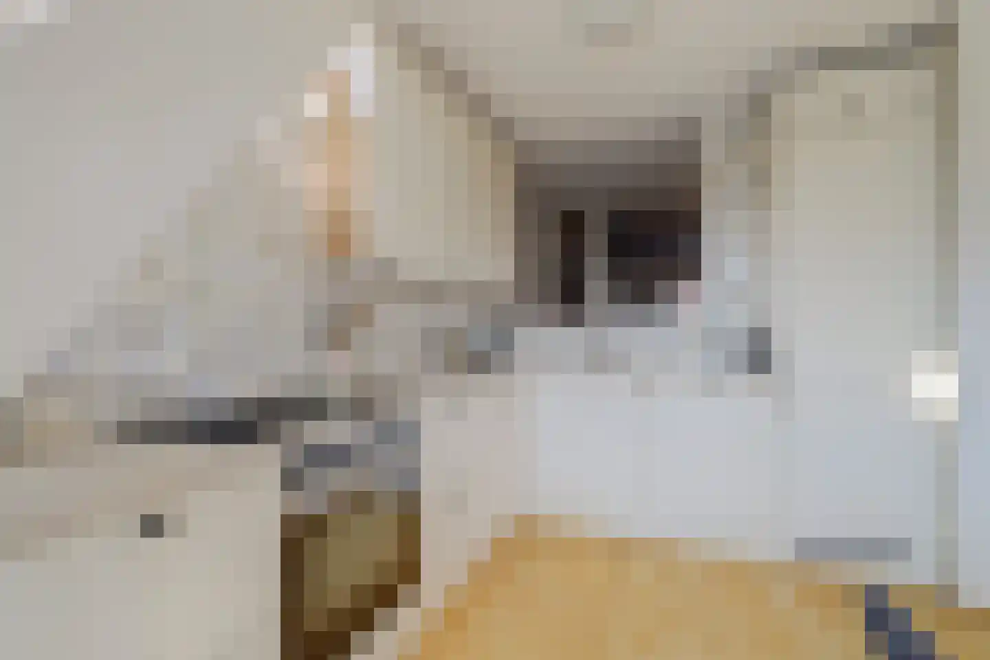 Panamakade 14 Amsterdam thumbnail 31