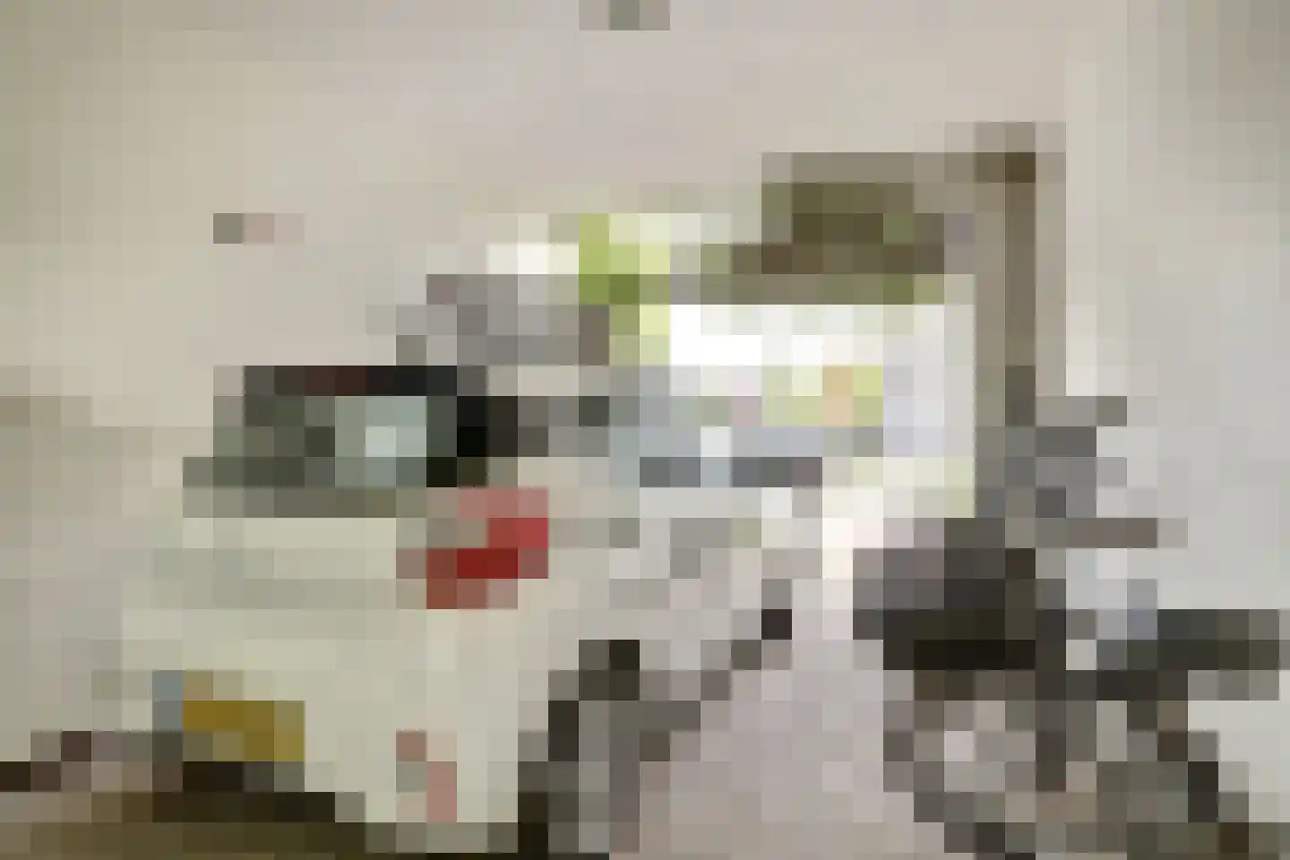 Panamakade 212 Amsterdam thumbnail 12