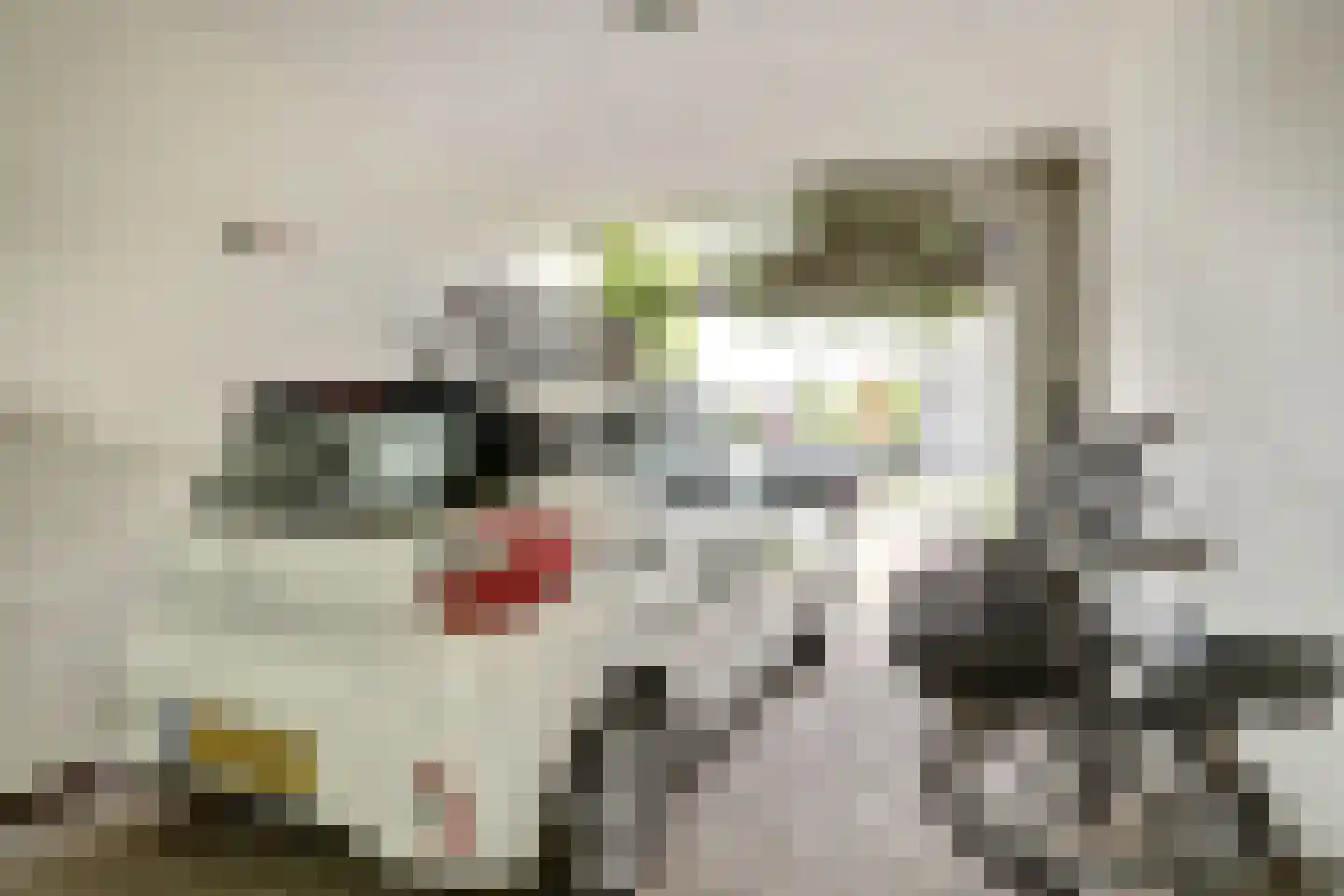 Panamakade 212 Amsterdam thumbnail 12