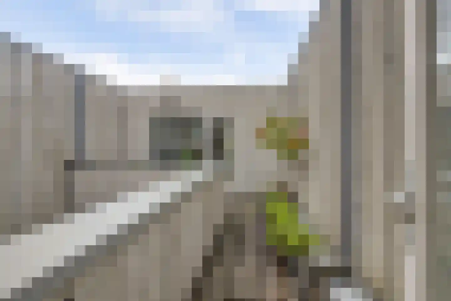 Panamakade 212 Amsterdam thumbnail 45