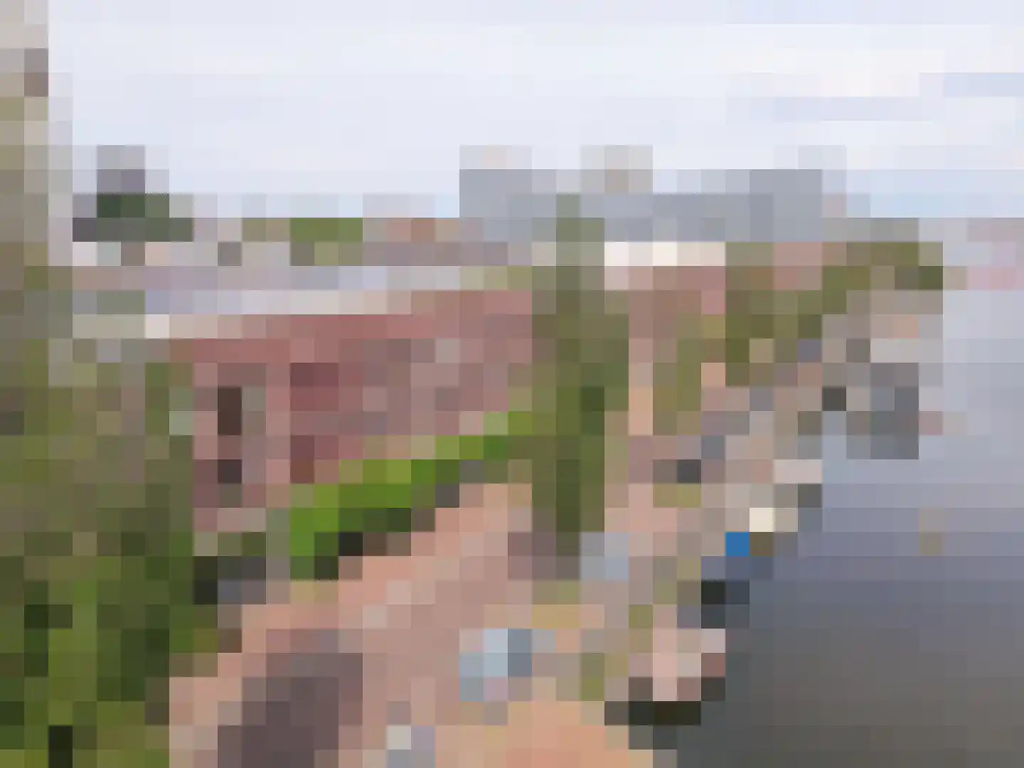 Panamakade 212 Amsterdam thumbnail 5