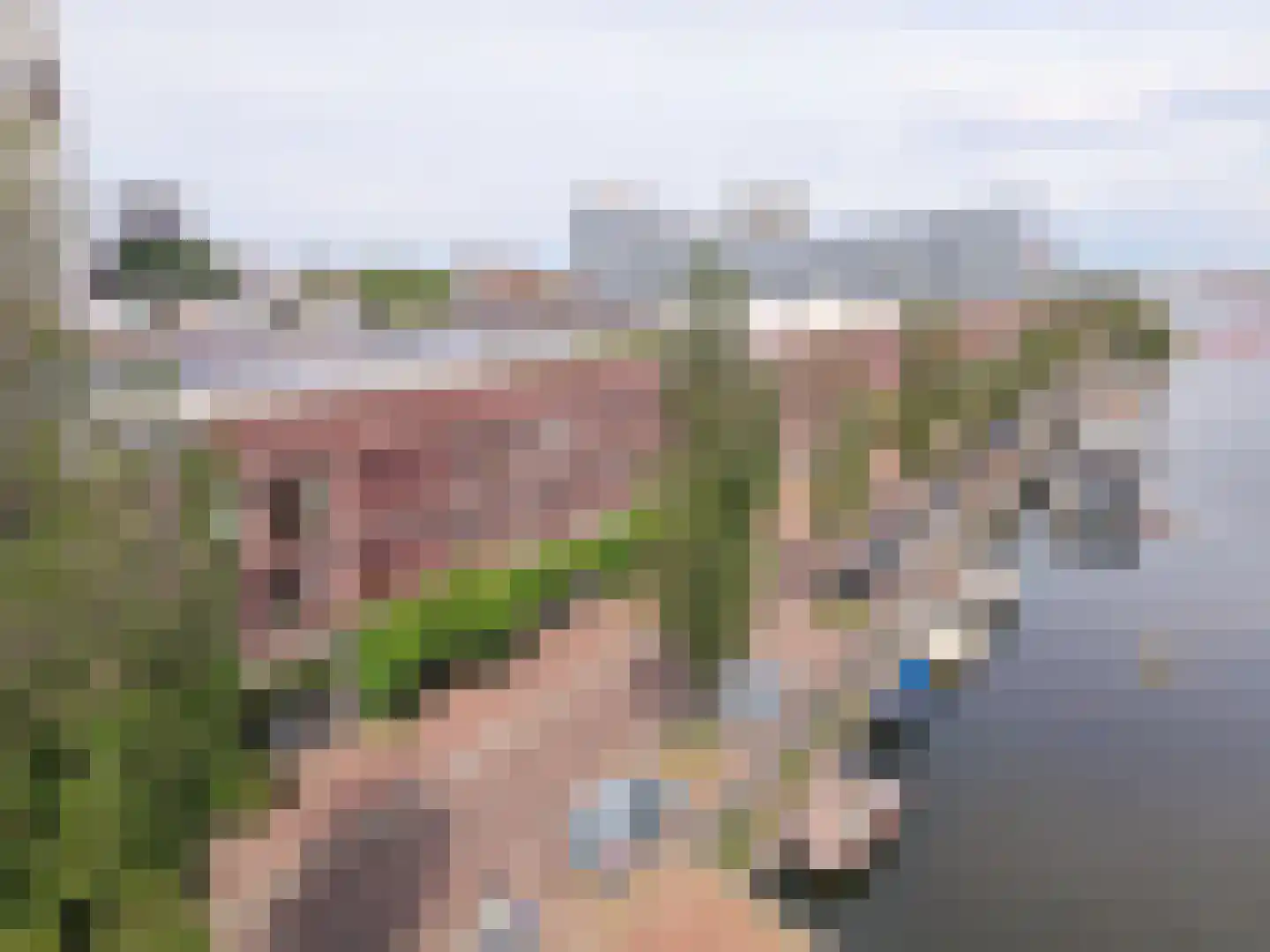 Panamakade 212 Amsterdam thumbnail 5