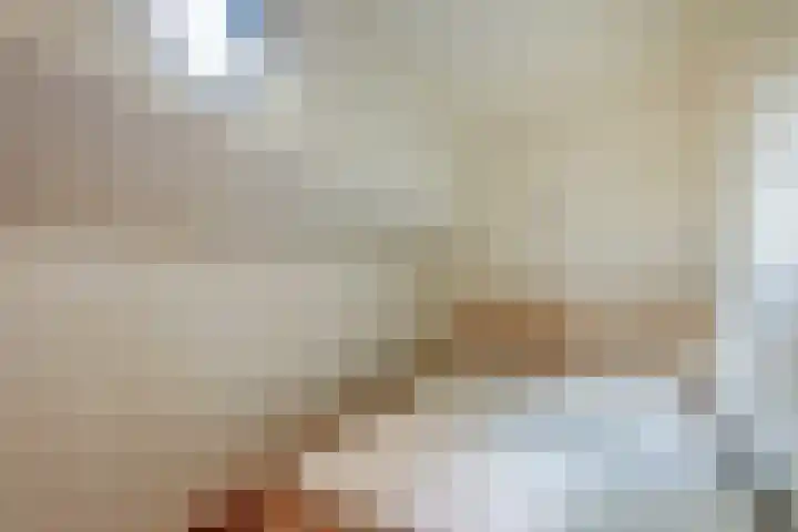 Panamakade 27 Amsterdam thumbnail 23