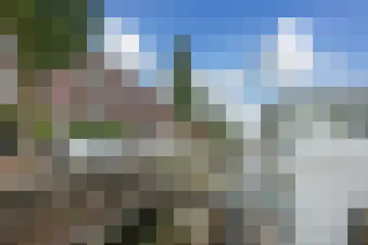 Panamakade 27 Amsterdam thumbnail 36