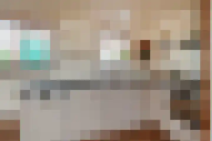 Panamakade 27 Amsterdam thumbnail 9