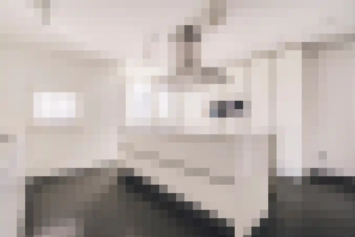 Panamakade 42 Amsterdam thumbnail 24