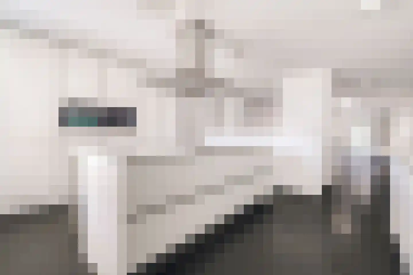 Panamakade 42 Amsterdam thumbnail 27