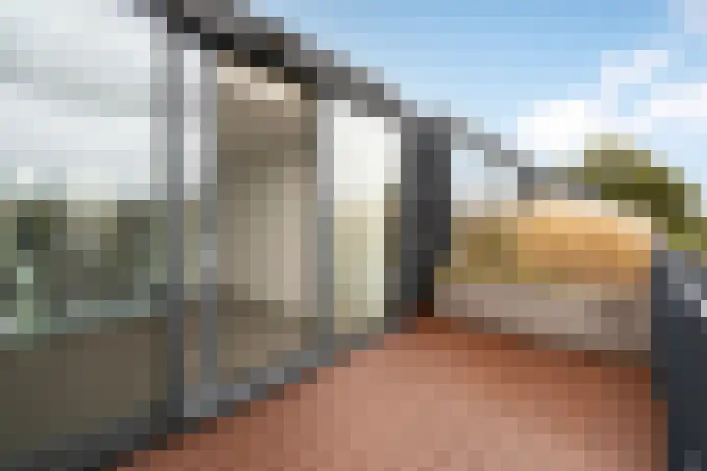 Panamakade 42 Amsterdam thumbnail 51