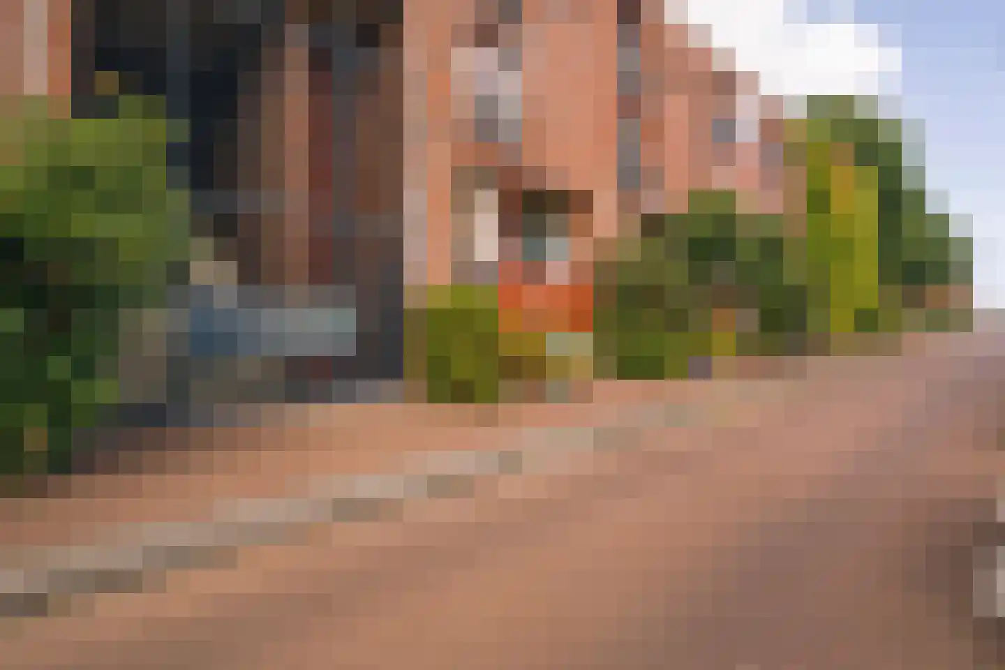 Panamakade 42 Amsterdam thumbnail 57
