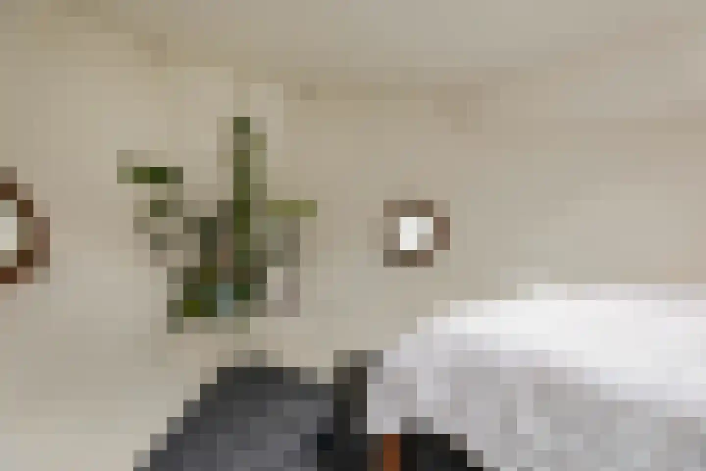 Panamakade 9 Amsterdam thumbnail 16