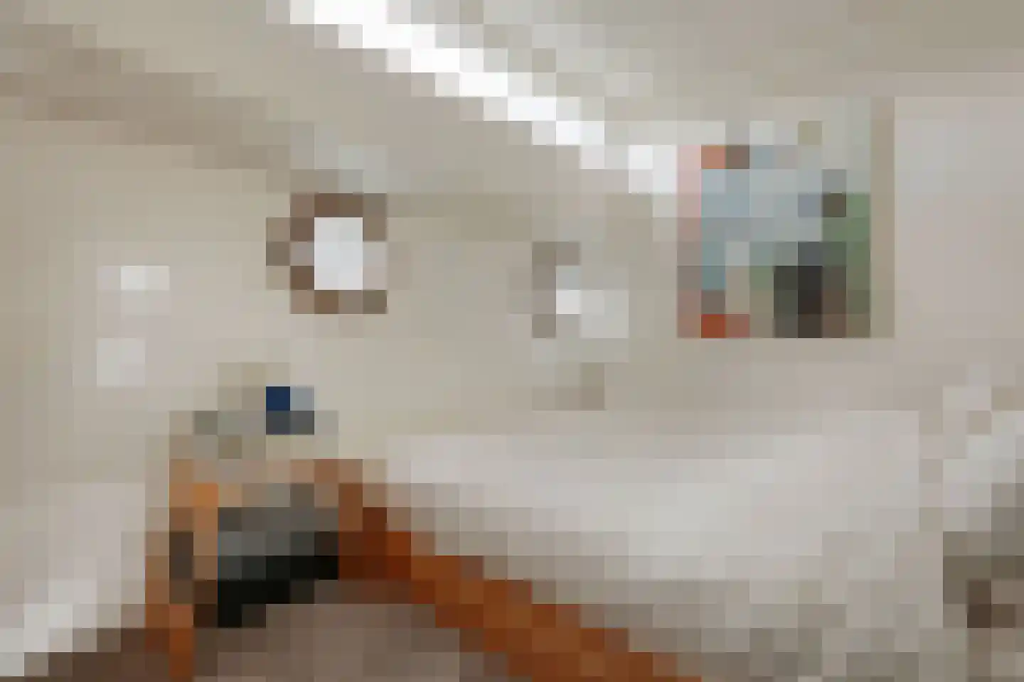 Panamakade 9 Amsterdam thumbnail 19