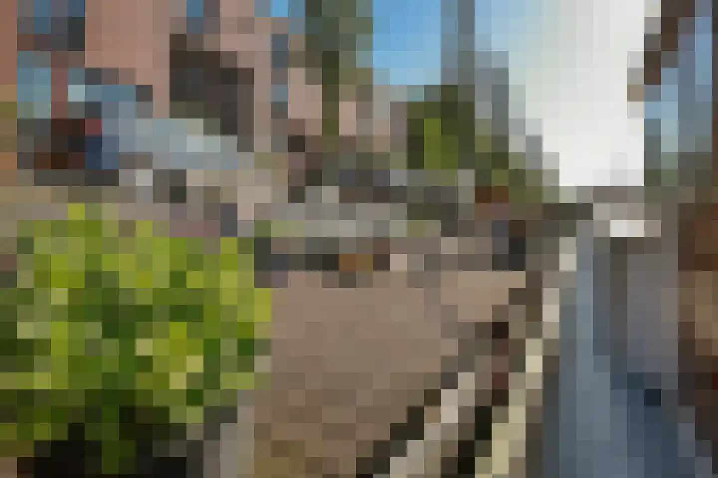 Panamakade 9 Amsterdam thumbnail 51