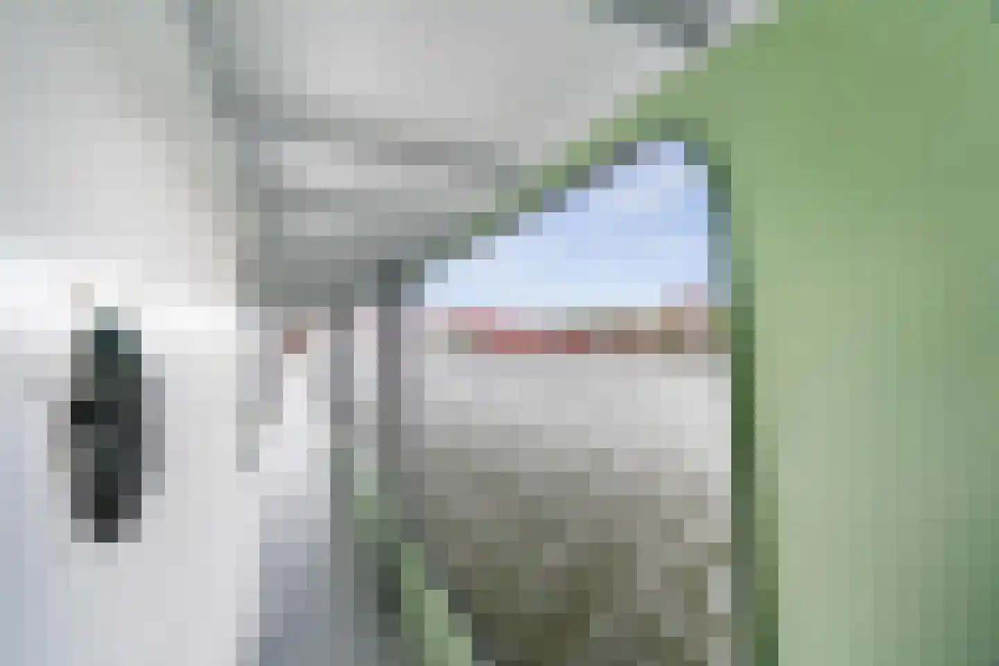 Panamakade 9 Amsterdam thumbnail 55