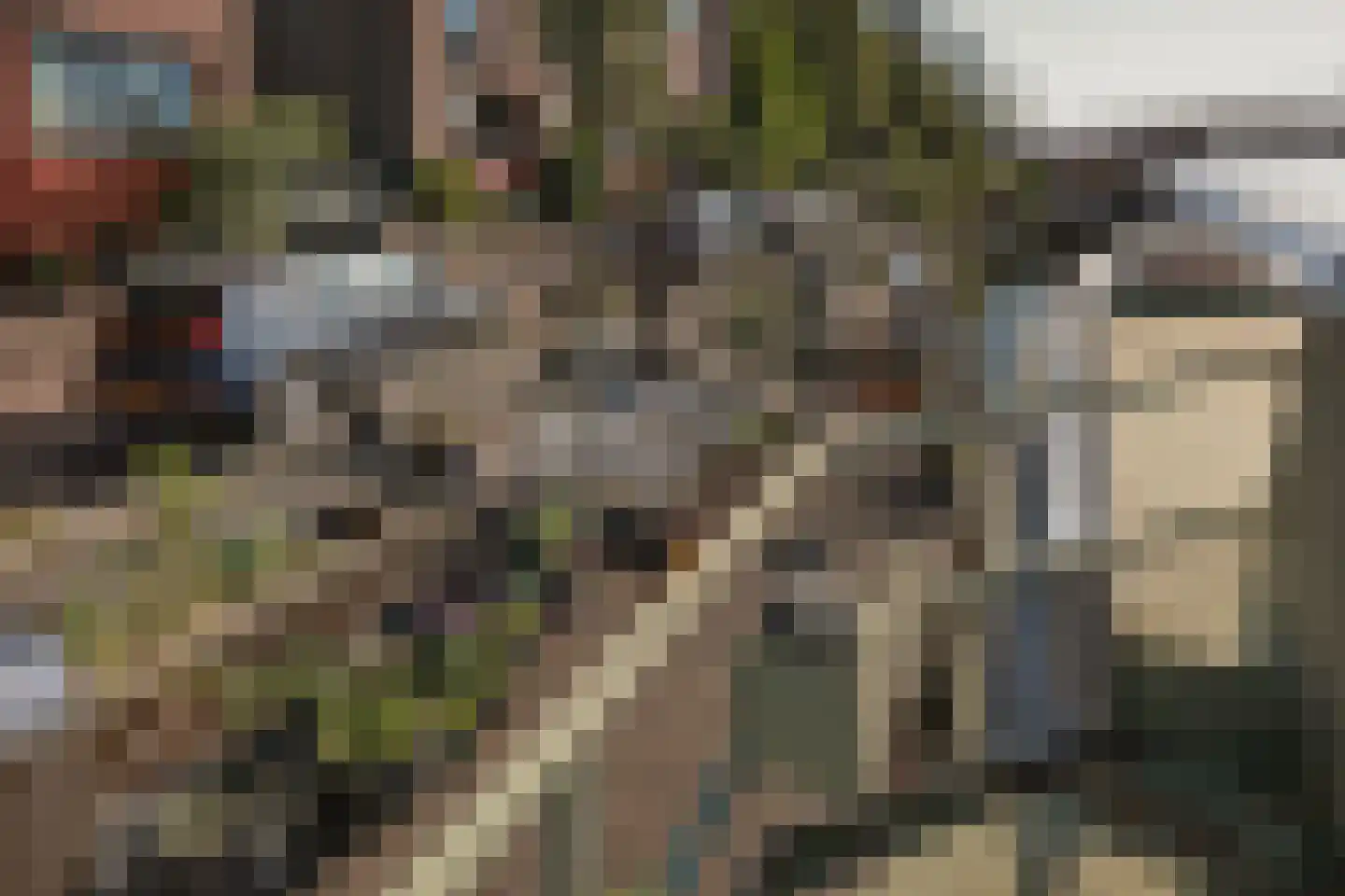 Panamakade 9 Amsterdam thumbnail 64