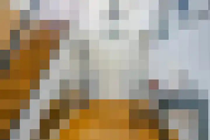 Panamalaan 162 Amsterdam thumbnail 16