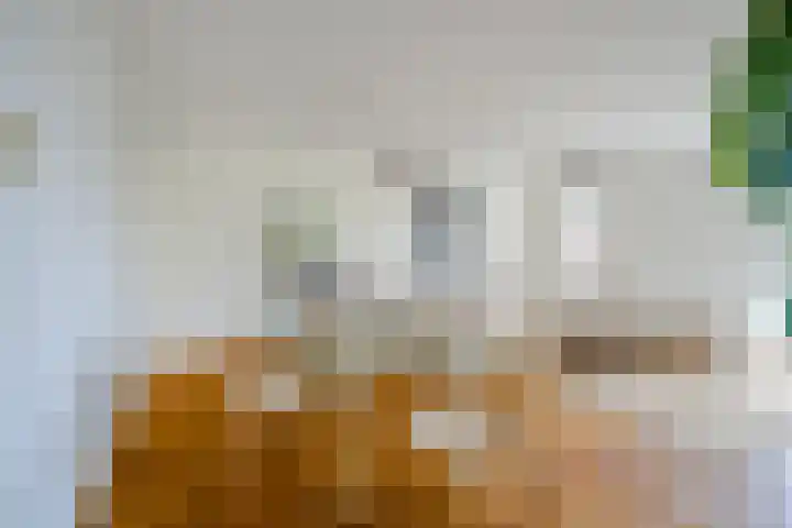 Panamalaan 162 Amsterdam thumbnail 6