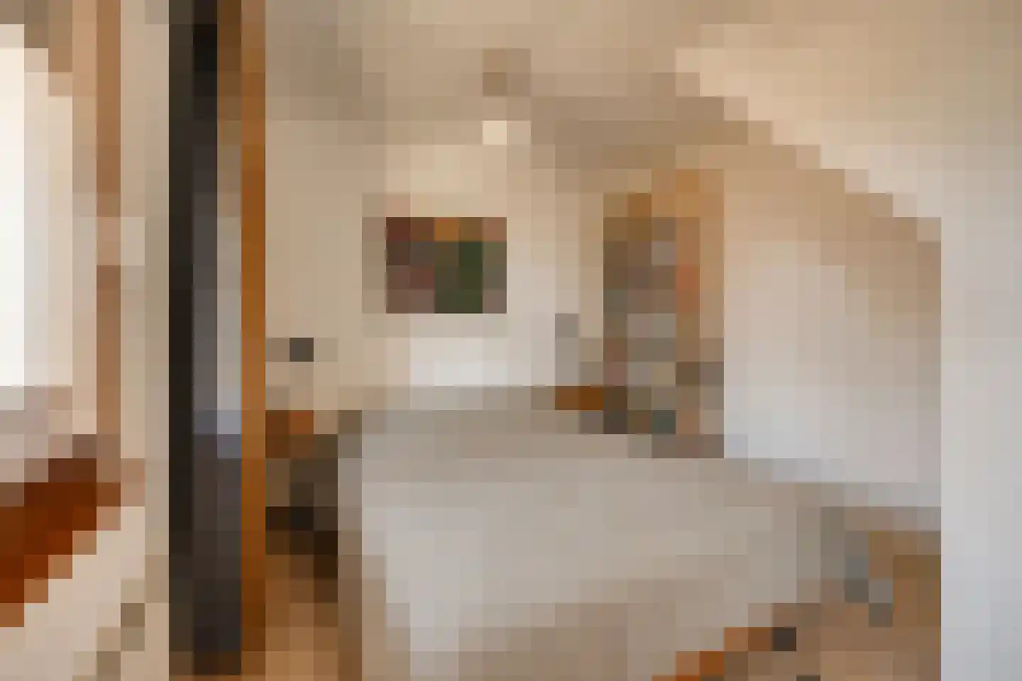 Panamalaan 174 Amsterdam thumbnail 13