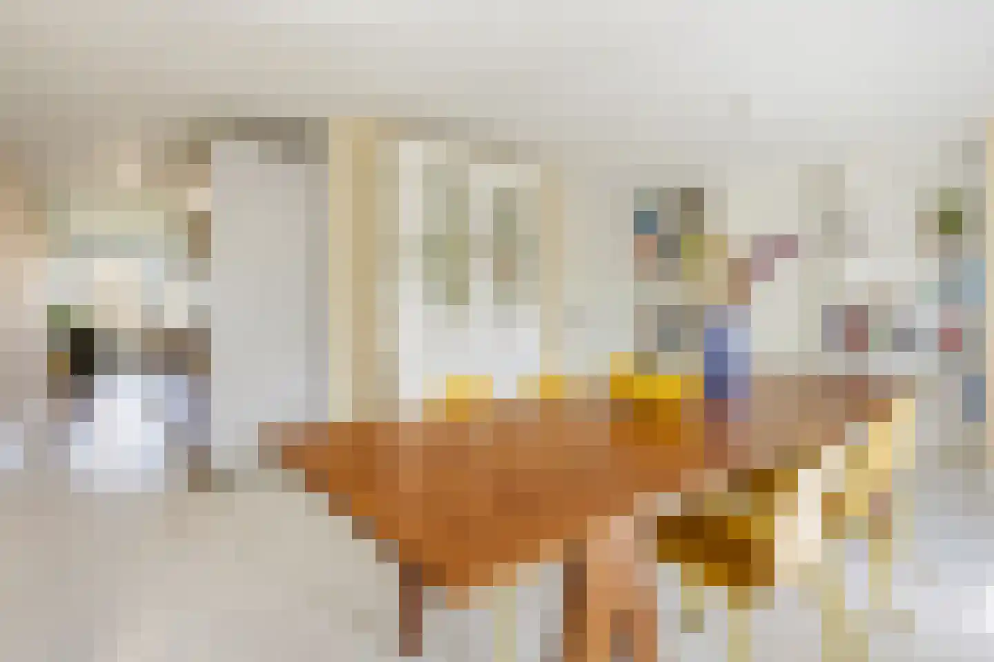 Panamalaan 216 in Amsterdam