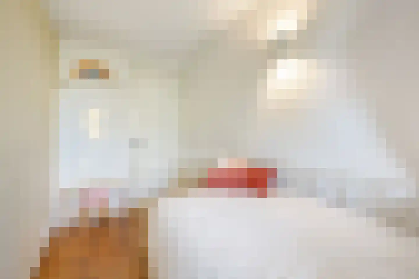 Panamalaan 216 Amsterdam thumbnail 31