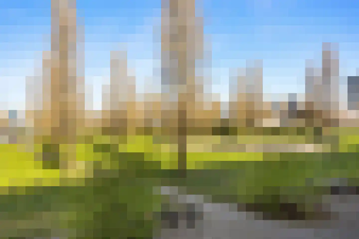 Panamalaan 216 Amsterdam thumbnail 37