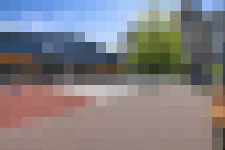 Panamalaan 244 Amsterdam thumbnail 24