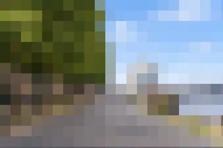 Panamalaan 244 Amsterdam thumbnail 27