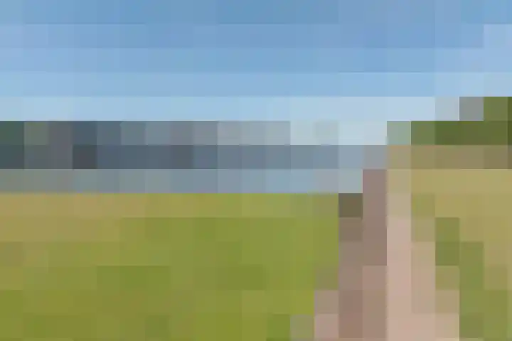 Panamalaan 244 Amsterdam thumbnail 28