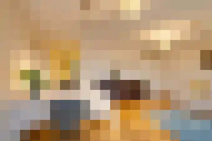 Panamalaan 244 Amsterdam thumbnail 7