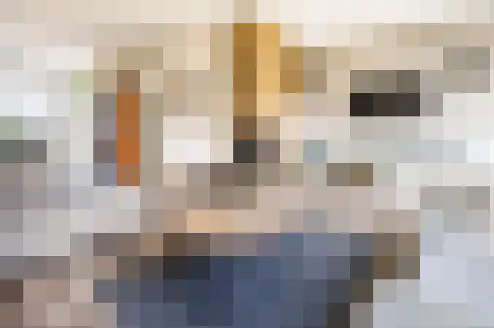 Panamalaan 244 Amsterdam thumbnail 9