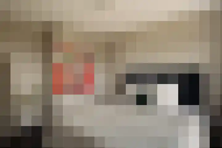Panamalaan 84 Amsterdam thumbnail 12