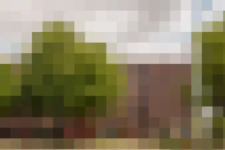 Panamalaan 84 Amsterdam thumbnail 17