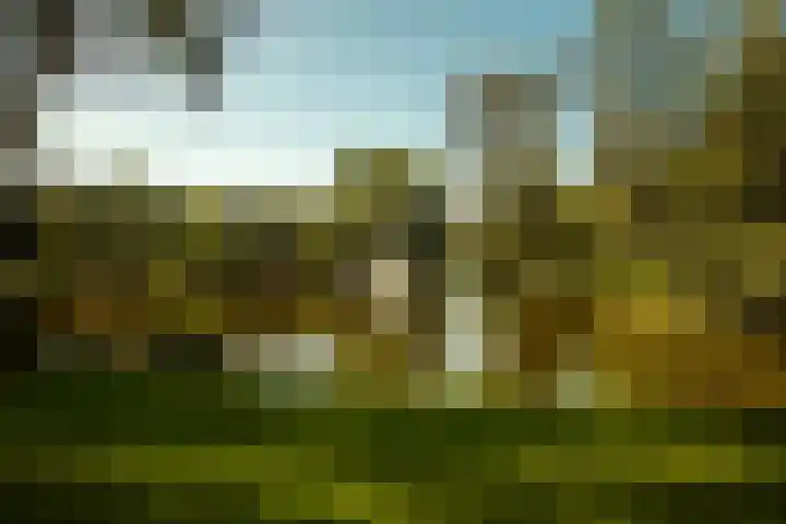 Panamalaan 84 Amsterdam thumbnail 21