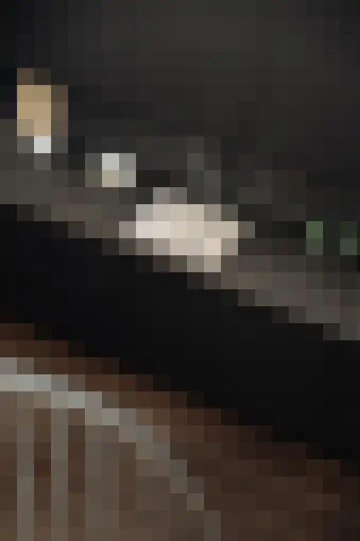 Panamalaan 84 Amsterdam thumbnail 7