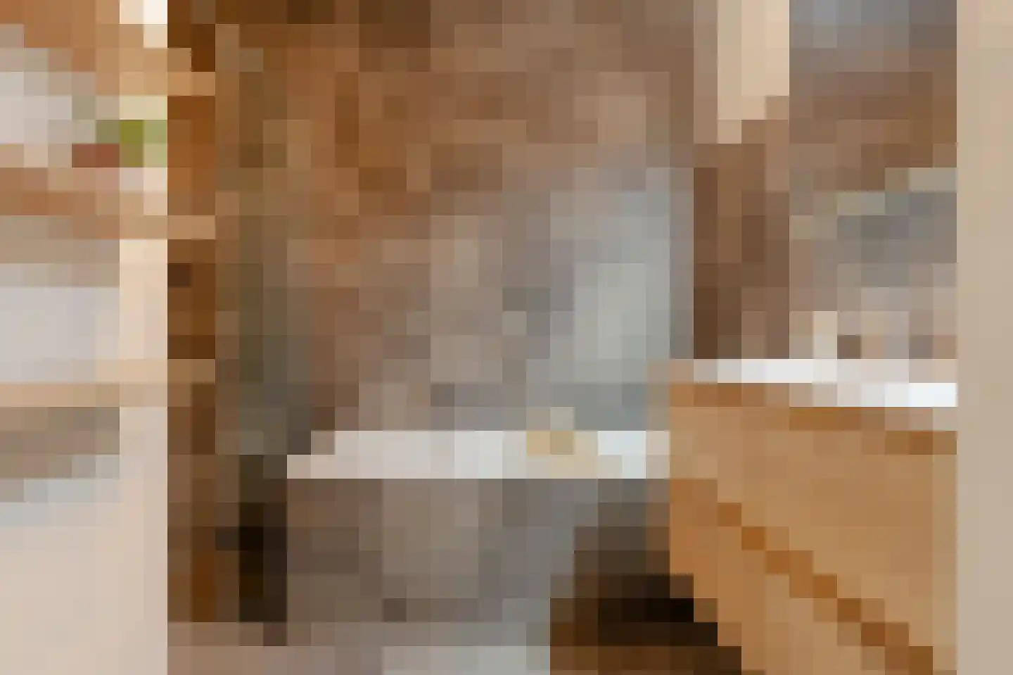 Panamalaan 96 Amsterdam thumbnail 29