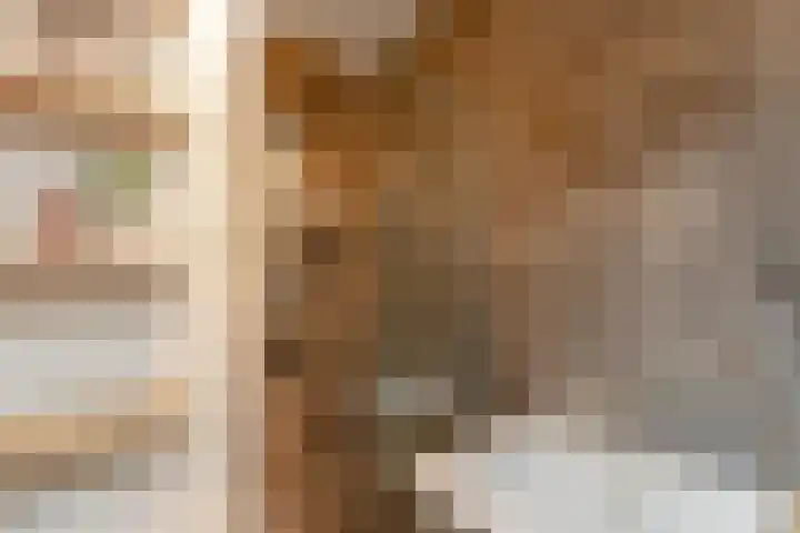 Panamalaan 96 Amsterdam thumbnail 30