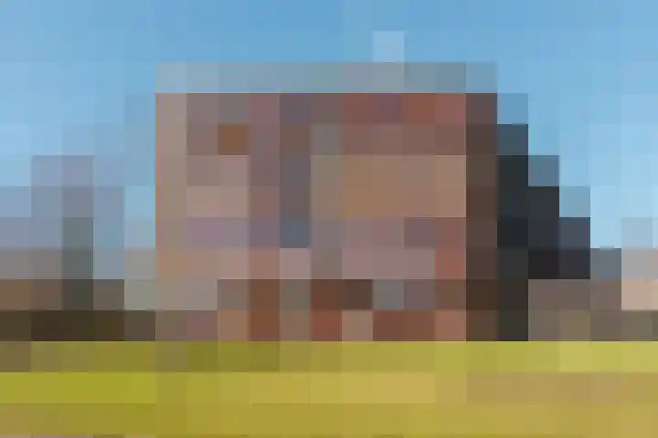 Panamalaan 96 Amsterdam thumbnail 33