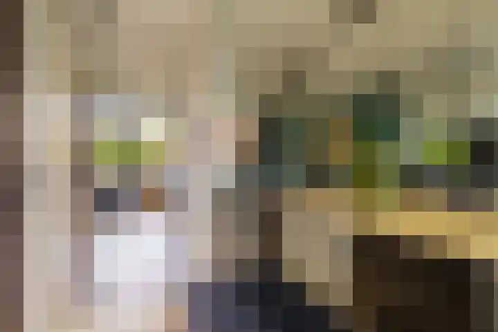 Panamalaan 96 Amsterdam thumbnail 4