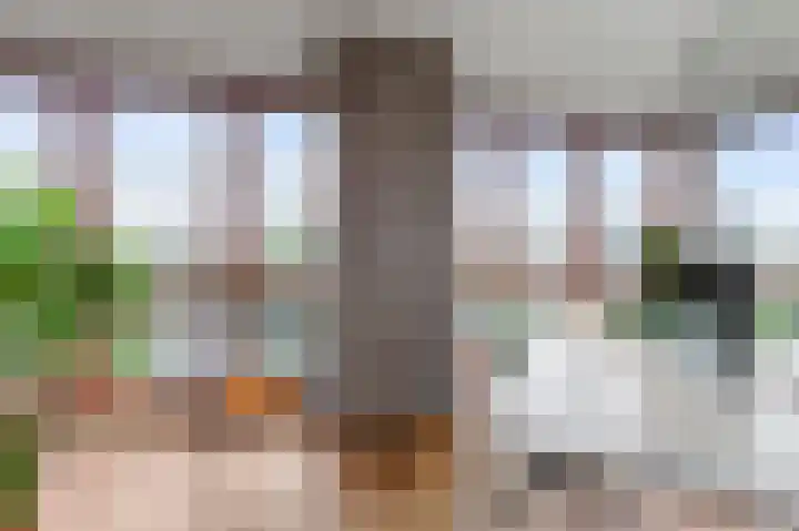 Panamalaan 98 Amsterdam thumbnail 12