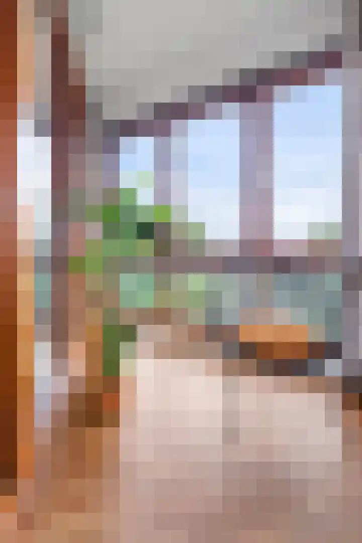 Panamalaan 98 Amsterdam thumbnail 13