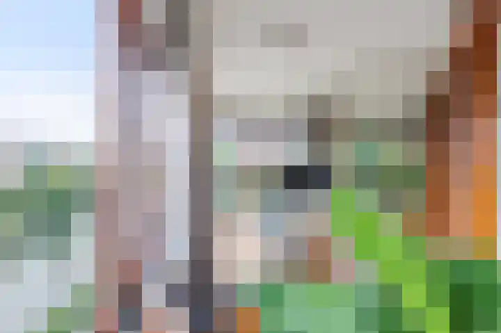 Panamalaan 98 Amsterdam thumbnail 5