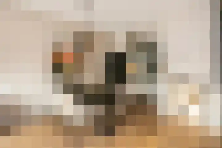 Panbos 14 Vleuten thumbnail 10