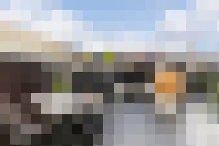 Panbos 14 Vleuten thumbnail 16