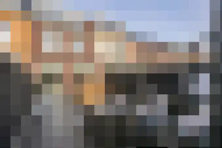 Panbos 14 Vleuten thumbnail 19