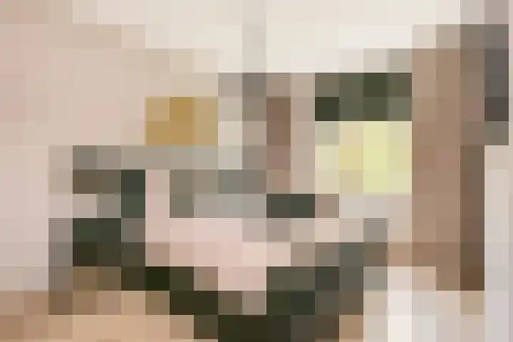 Panbos 14 Vleuten thumbnail 22