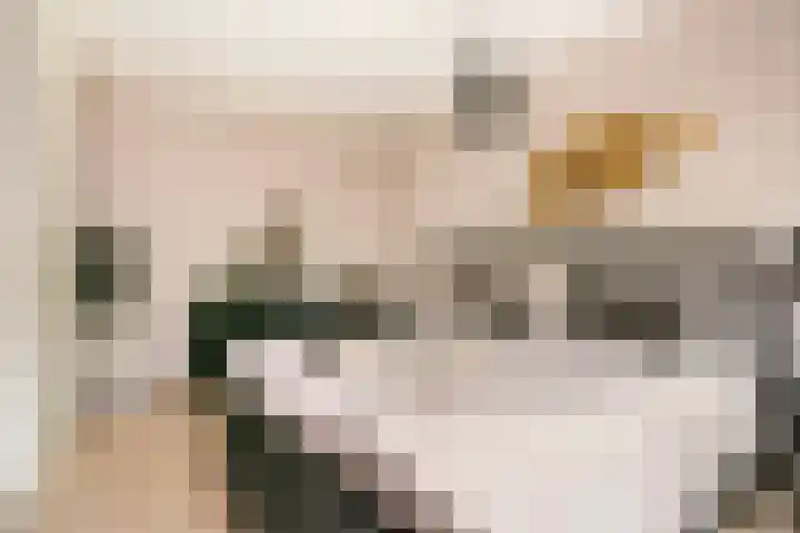 Panbos 14 Vleuten thumbnail 23