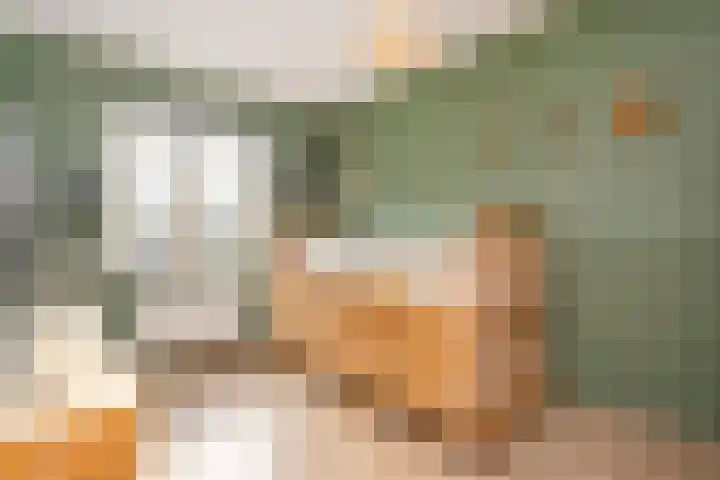 Panbos 14 Vleuten thumbnail 24