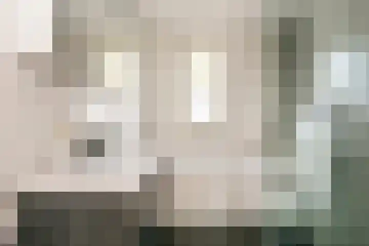 Panbos 14 Vleuten thumbnail 27