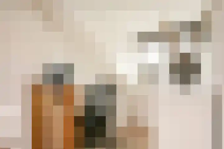 Panbos 14 Vleuten thumbnail 30